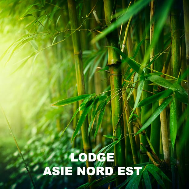 les plus beaux lodges en asie du nord, lodge asie du nord