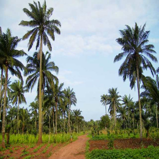 lodge-destination-benin-misterlodge