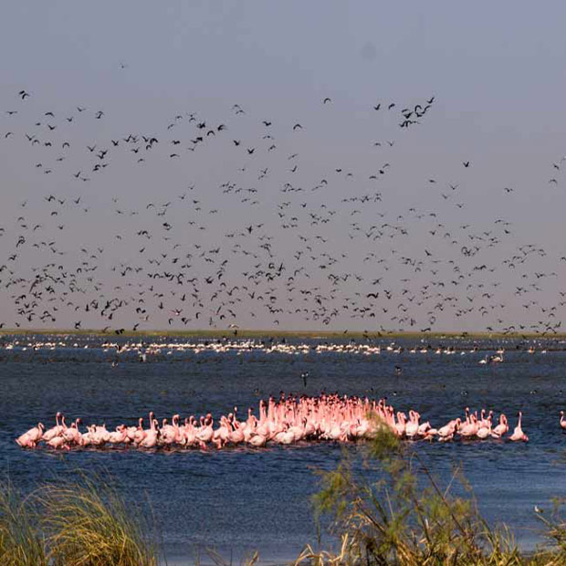 lodge-senegal-destination-misterlodge