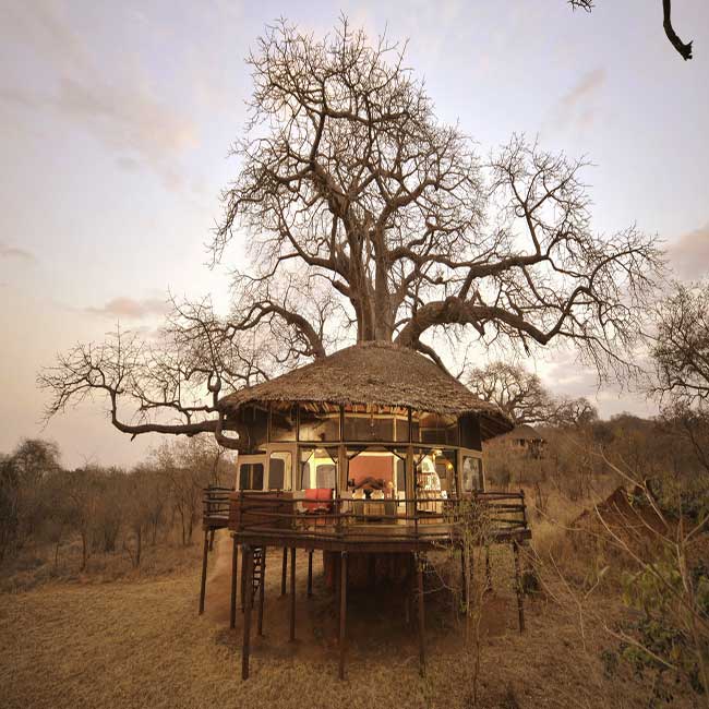 Tarangire-Treetops-Lodge