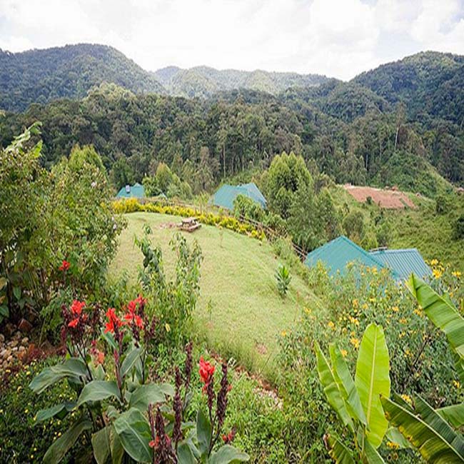 Gorilla-Safari-Lodge