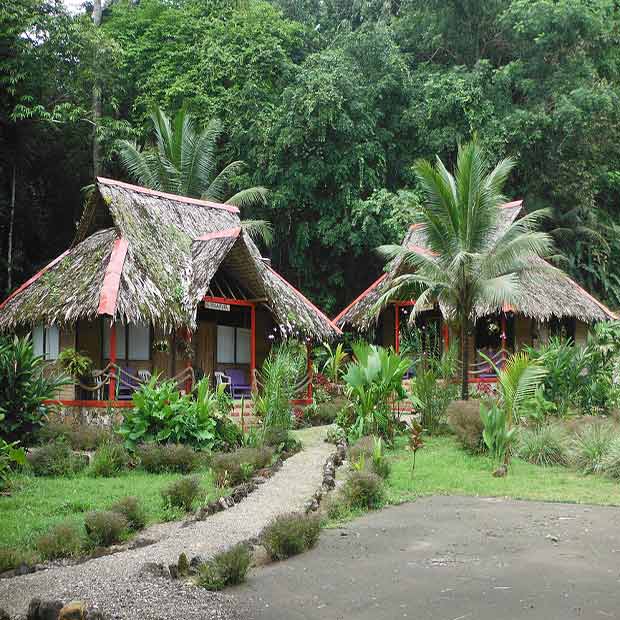 pijiba-lodge