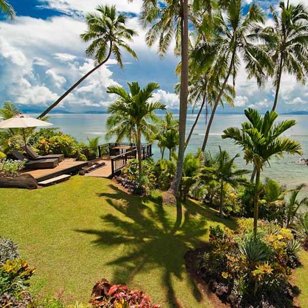 taveuni palms resort lodge vue