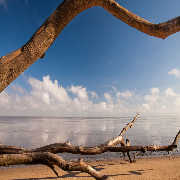 lodge-guyane-misterlodge