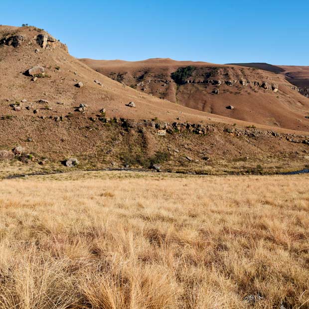 lodge-swaziland-destination-misterlodge