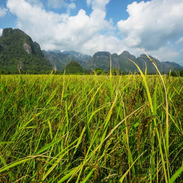 Paysage-laos-misterlodge