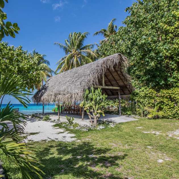 coconut-lodge-rangiroa-misterlodge-vue