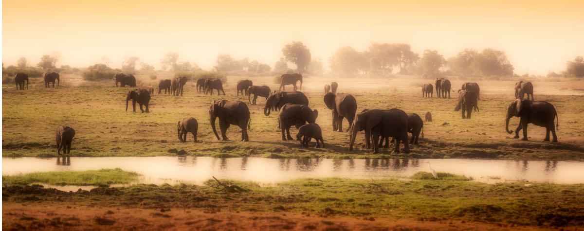 misterlodge-safari-lodge