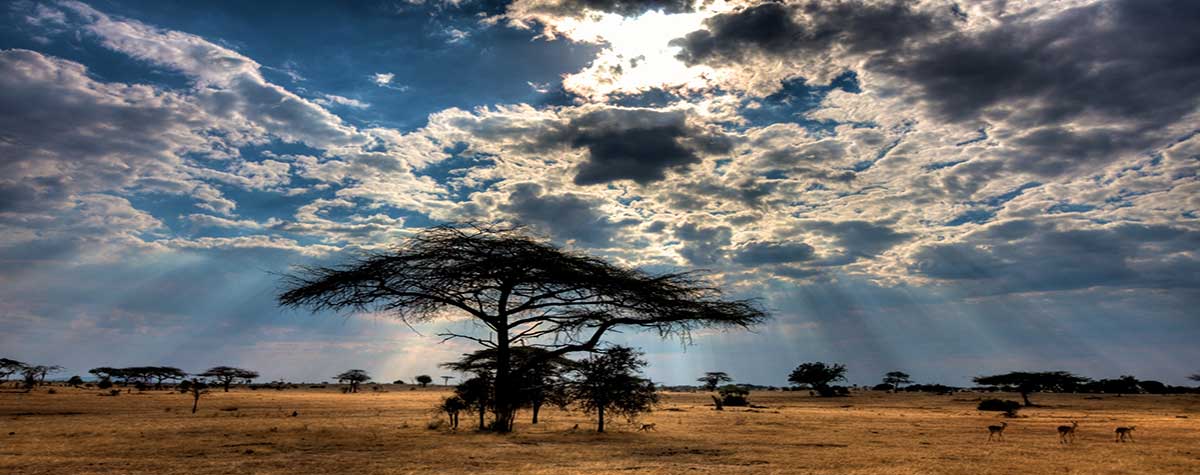 lodge-en-tanzanie-misterlodge