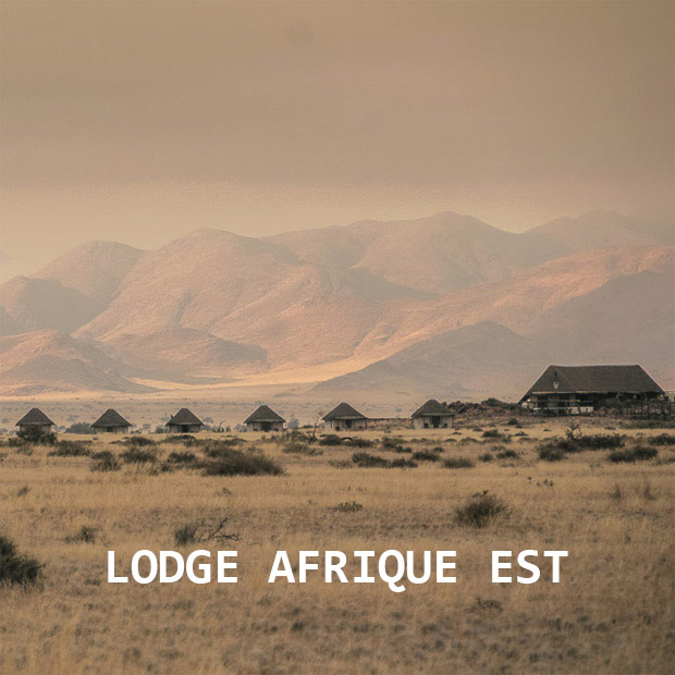 misterlodge vous présente les meilleurs lodges en Afrique à l'abri des foules.