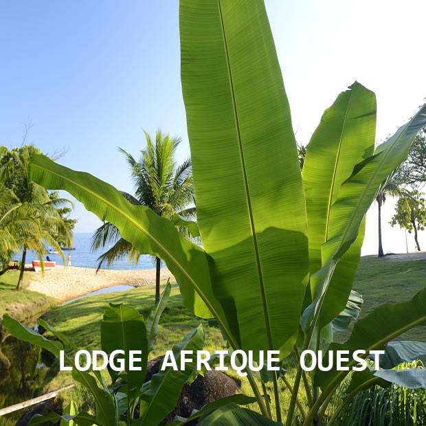 misterlodge vous présente les meilleurs lodges en Afrique à l'abri des foules.