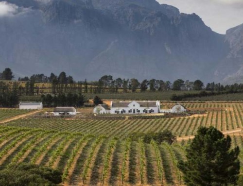 Nouvel hôtel dans les vignobles Sud Africains