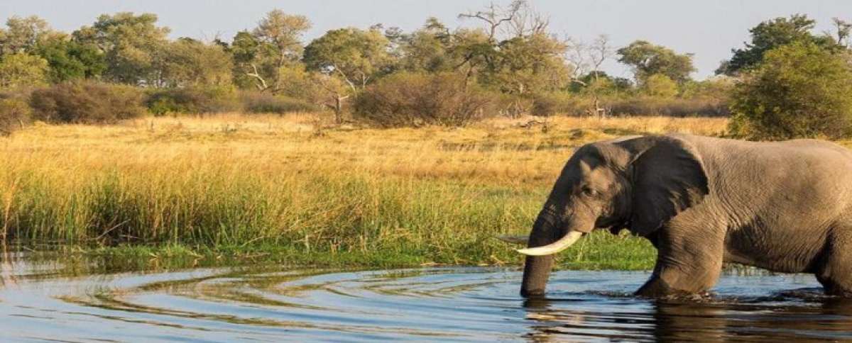 chobenationalpark-misterlodge-france