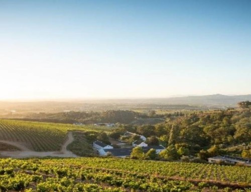 Le luxe dans le domaine viticole Taaibosch