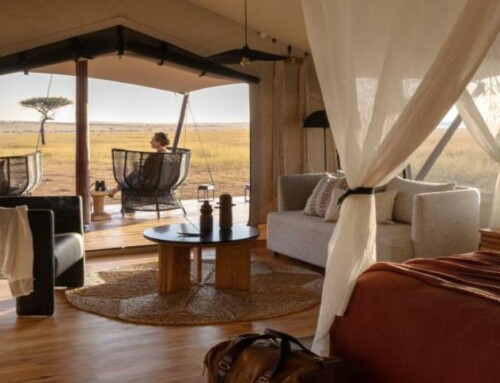 Ouverture d’un camp de safari de luxe dans le nord du Serengeti