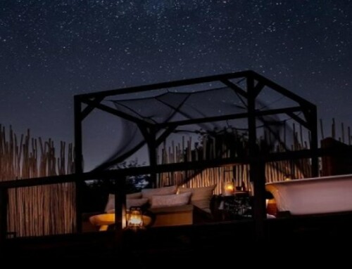 Un camp de safari de luxe en Zambie s’ouvre aux étoiles