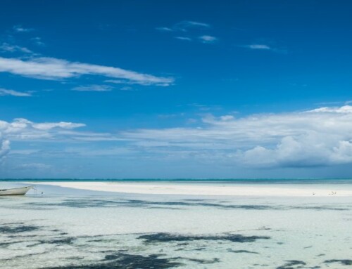 Nouveau lodge à Zanzibar