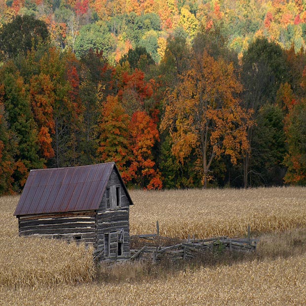 lodge-destination-canada-misterlodge